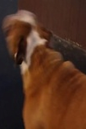 Barkley Manor S01E03 480p x264-mSD EZTV
