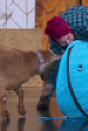 Stupid Pet Tricks S01E01 1080p WEBRip x264-BAE EZTV