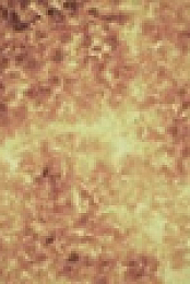 NOVA S48E14 Particles Unknown 720p WEB h264-BAE EZTV