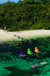 Survivor S46E03 XviD-AFG EZTV