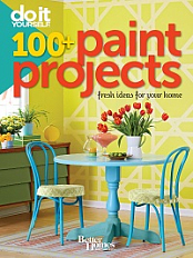 Do It Yourself - 100+ Paint Projects