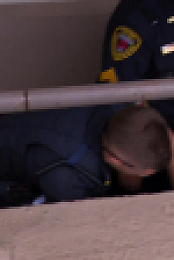 Cops S36E16 720p WEB h264-BAE EZTV