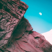 Bonobo - Linked (2019 - Single) [FLAC]