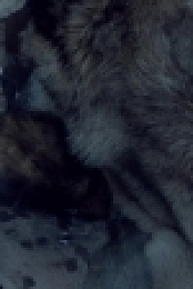 Vikings S04E03 PROPER 720p HDTV x264-KILLERS[ettv]