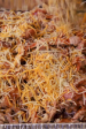 Carnival Eats S12E10 1080p HEVC x265-MeGusta EZTV