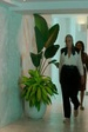 Fantasy Island 2021 S02E04 XviD-AFG EZTV