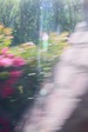 Full Bloom S02E07 1080p WEB h264-KOGi EZTV