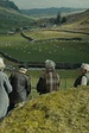 Documentary Now S04E04 XviD-AFG EZTV