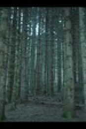 Parallels S01E06 1080p HEVC x265-MeGusta EZTV