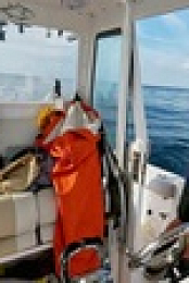 Wicked Tuna S12E04 XviD-AFG EZTV