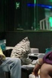 Hush 2022 S01E03 XviD-AFG EZTV