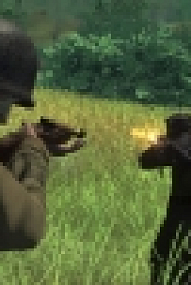 A Front Too Far: Normandy