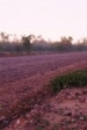 Back Roads S04E10 720p HDTV x264-CBFM [eztv]
