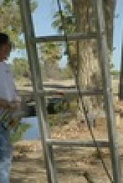 The Killer Bee Catcher S01E04 XviD-AFG EZTV