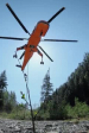 Timber Titans S01E03 XviD-AFG EZTV
