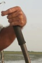 Swamp People S12E14 720p WEB h264-BAE EZTV
