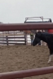 Heartland CA S14E10 720p WEBRip x264-TERMiNUS EZTV