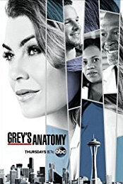 Greys.Anatomy.s15e21.1080p.WEB.x264-worldmkv