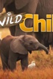 Wild Child S01E08 720p WEB h264-SKYFiRE EZTV