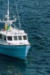 Wicked Tuna S09E06 Kraken the Code 480p x264-mSD [eztv]