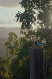 Back To Nature S01E01 480p x264-mSD EZTV