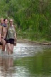 Survivor AU S09E08 WEB H264-DARKFLiX EZTV