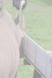 Mega Zoo AU S01E01 480p x264-mSD EZTV