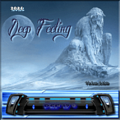 VA - Deep Feeling (2021) [MP3 320K] {PSF-17}