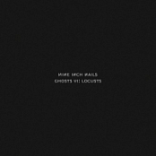 Nine Inch Nails - Ghosts VI Locusts (2020) [FLAC] [DJ]