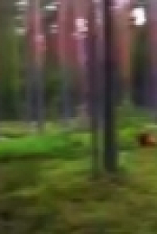 Paranormal Caught on Camera S02E10 Al Capones Ghost and More WEB x264-ROBOTS [eztv]
