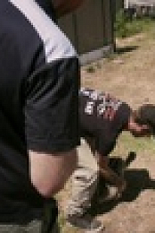 Scottish Vets Down Under S01E03 1080p WEBRip x264-CBFM EZTV