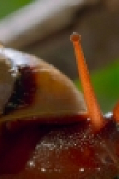 Tiny World S01E04 Outback 720p ATVP WEBRip DDP5 1 x264-NTb EZTV