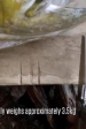 Alone Australia S02E08 XviD-AFG EZTV