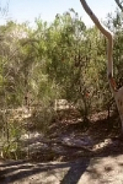 Housos S03E04 480p x264-mSD EZTV