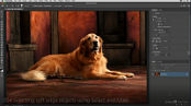 Lynda - Photoshop 2021 Essential Training - The Basics