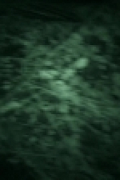 Naked and Afraid S12E03 720p WEB h264-BAE EZTV