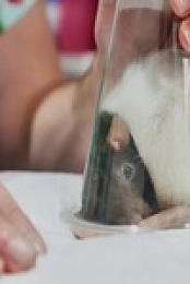 The Bizarre Pet Vets S01E01 480p x264-mSD EZTV