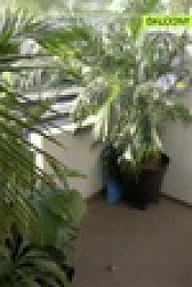 MTV Cribs S19E06 1080p WEB h264-KOGi EZTV