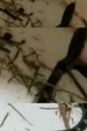 The Proof Is Out There S02E07 720p WEB h264-BAE EZTV