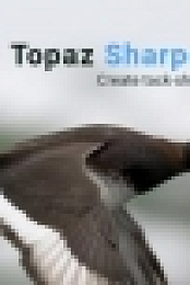 Topaz Sharpen AI 2.1.8 [Neverb]