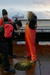 Deadliest Catch S19E13 720p HEVC x265-MeGusta EZTV