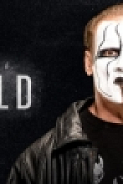 WWE Untold E03 Stings WWE Debut WEB h264-HEEL [TJET]