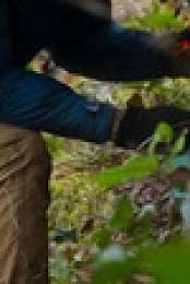 Chefs vs Wild S01E05 XviD-AFG EZTV