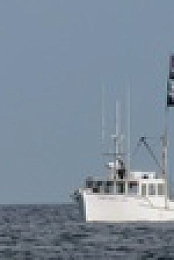 Wicked Tuna S12E10 720p WEB h264-EDITH EZTV