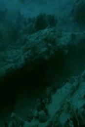 Drain The Oceans S04E08 480p x264-mSD EZTV