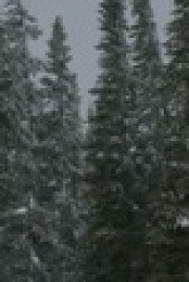 Alone S09E10 720p HEVC x265-MeGusta EZTV