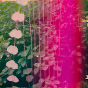 Snowpoet - Heartstrings (2025) [FLAC 16Bit]