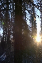 Life Below Zero Next Generation S02E08 New Chances 480p x264-mSD EZTV