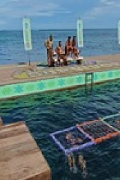 Survivor S43E11 480p x264-mSD EZTV