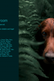 Adobe Photoshop Lightroom 3.1.0 (x64) Multilingual [FileCR]
